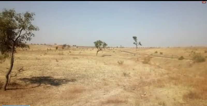 Agricultural/Farm Land for Sale in Dharangaon, Jalgaon (150 Acre)