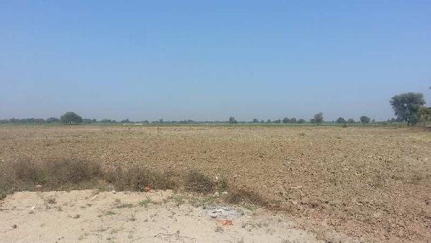 50 Bigha Industrial Land / Plot for Sale in Bavla, Ahmedabad