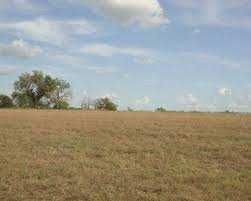 100 Ares Industrial Land / Plot for Sale in Kandla, Gandhidham