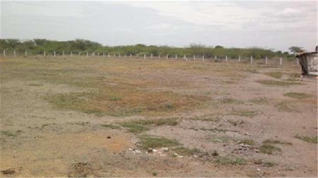 250 Acre Industrial Land / Plot for Sale in Rajula, Amreli