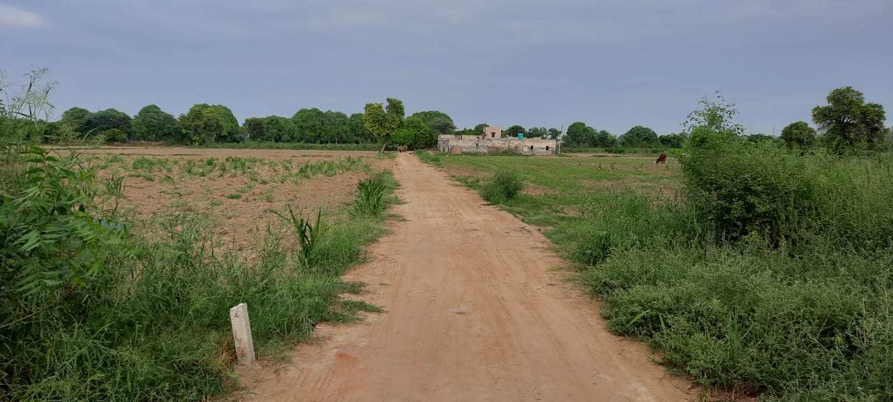 1100 Sq. Yards Agricultural/Farm Land for Sale in Arya Nagar, Hisar
