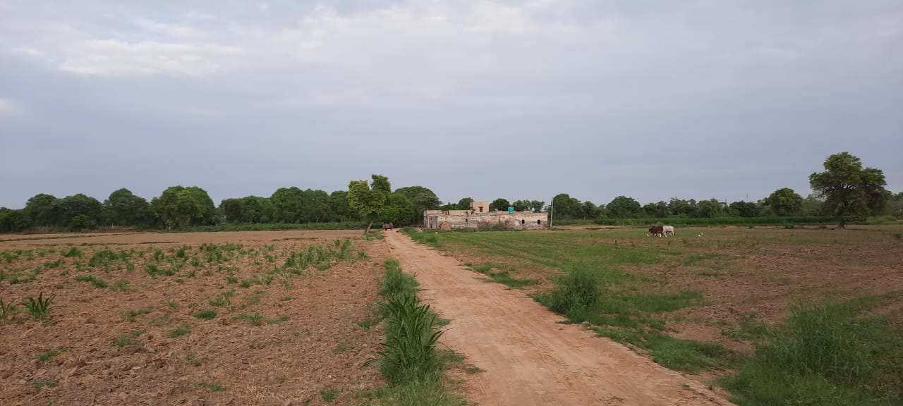 1350 Sq. Yards Agricultural/Farm Land for Sale in Arya Nagar, Hisar