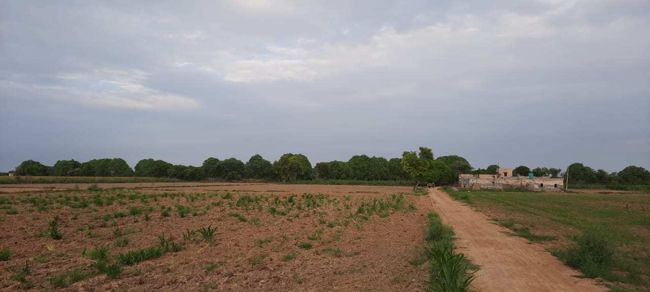 1220 Sq. Yards Agricultural/Farm Land for Sale in Arya Nagar, Hisar