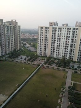 Flats & Apartments for Sale in Sector 37C, Gurgaon (200 Sq.ft.)