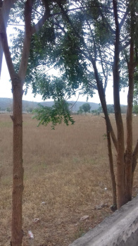 Property for sale in Sector 73 Gurgaon