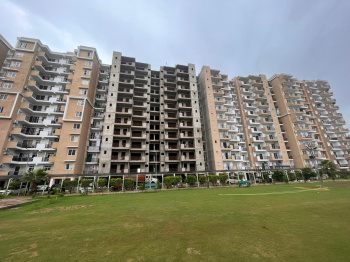 3 BHK Flats & Apartments for Sale in Sector 115, Mohali (1650 Sq.ft.)