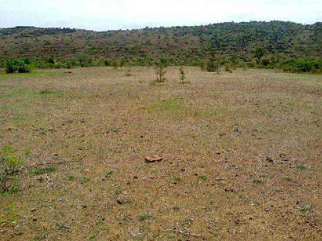 Residential Land for Sale in Parley Point, Surat