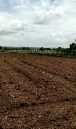 35 Guntha Agricultural/Farm Land for Sale in Chevella Mandla, Hyderabad