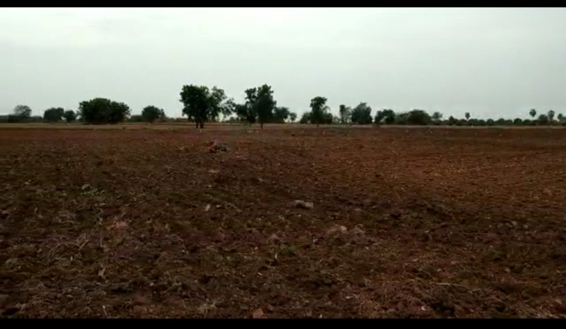 32 Acre Agricultural/Farm Land for Sale in Telangana