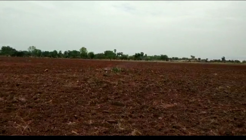 32 Acre Agricultural/Farm Land for Sale in Telangana