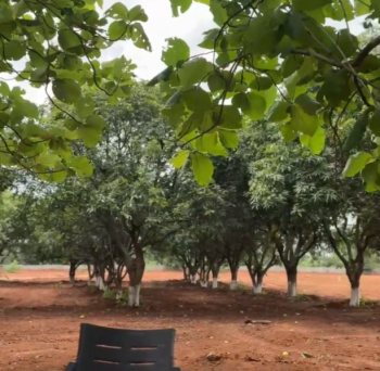 Residential Plot for Sale in Moinabad, Hyderabad (6 Acre)