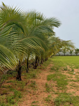Residential Plot for Sale in Bhongir, Yadadri Bhuvanagiri (2 Acre)