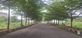 Residential Plot for Sale in Bhongir, Yadadri Bhuvanagiri (500 Sq. Yards)