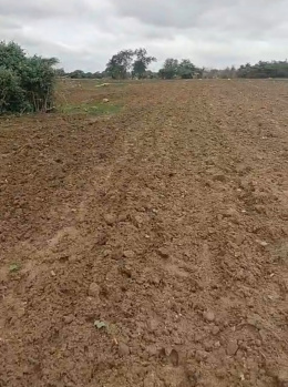 2.20 Acre Agricultural/Farm Land for Sale in Sadasivpet, Sangareddy