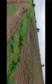 Agricultural/Farm Land for Sale in Kodangal, Vikarabad (1.16 Acre)