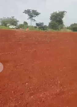 Agricultural/Farm Land for Sale in Narayanapur, Vikarabad (4 Acre)