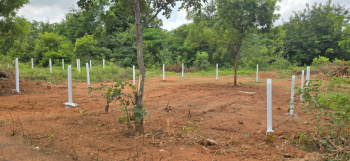 Residential Plot for Sale in Shamshabad, Hyderabad (200 Sq. Yards)