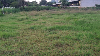 Agricultural/Farm Land for Sale in Balanagar, Hyderabad (20 Guntha)