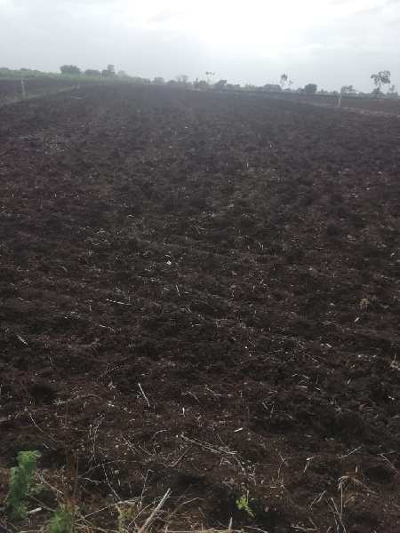 1 Acre Agricultural/Farm Land for Sale in Pargi, Vikarabad