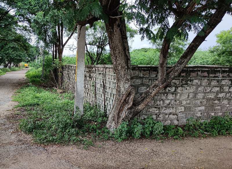 1200 Sq. Yards Residential Plot for Sale in Manchirevula, Hyderabad