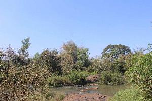 Agricultural Land for sale at Raigad