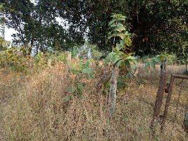Agricultural Land for sale at Raigad