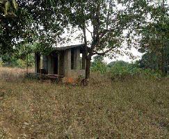 Agricultural Land for sale at Raigad