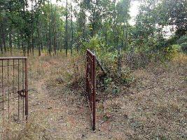 Agricultural Land for sale at Raigad