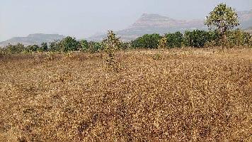 Agricultural/Farm Land for Sale in Raigad