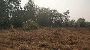 Agricultural/Farm Land for Sale in Raigad