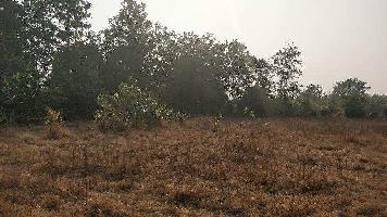 Agricultural/Farm Land for Sale in Raigad