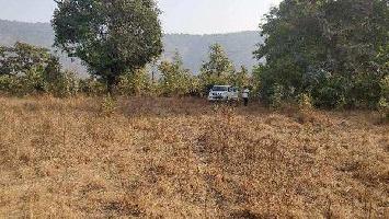 Agricultural/Farm Land for Sale in Raigad