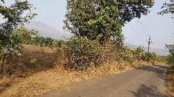 Agricultural/Farm Land for Sale in Raigad
