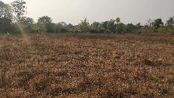 Agricultural/Farm Land for Sale in Raigad