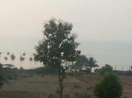 Agricultural/Farm Land for Sale in Shrivardhan, Raigad