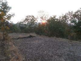 Agricultural/Farm Land for Sale in Shrivardhan, Raigad