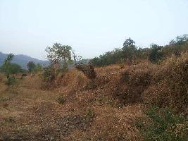 Agricultural/Farm Land for Sale in Shrivardhan, Raigad