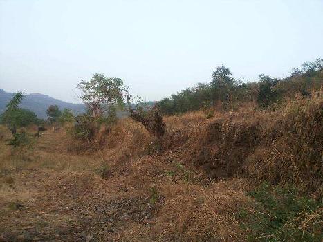 Agricultural/Farm Land For Sale In Shrivardhan, Raigad (6 Acre)