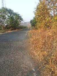 Agricultural/Farm Land for Sale in Shrivardhan, Raigad