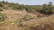 Agricultural/Farm Land for Sale in Roha Ashtami, Raigad