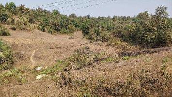 Agricultural/Farm Land for Sale in Roha Ashtami, Raigad