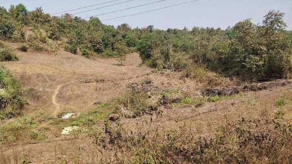 Agricultural/Farm Land For Sale In Roha Ashtami, Raigad (7 Acre)