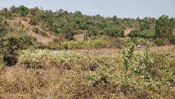 Agricultural/Farm Land for Sale in Roha Ashtami, Raigad