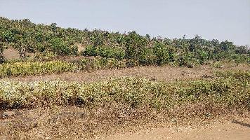 Agricultural/Farm Land for Sale in Roha Ashtami, Raigad