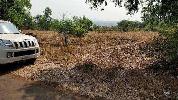 Agricultural/Farm Land for Sale in Mangaon, Raigad