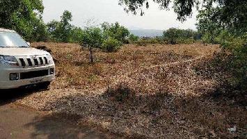 Agricultural/Farm Land for Sale in Mangaon, Raigad