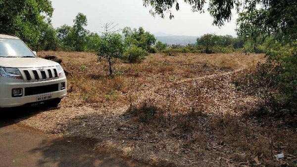 Agricultural/Farm Land For Sale In Mangaon, Raigad (19 Acre)