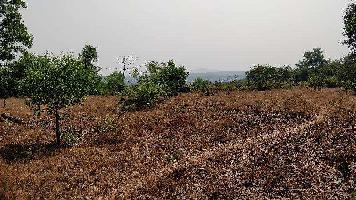 Agricultural/Farm Land for Sale in Mangaon, Raigad
