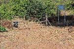 Agricultural/Farm Land for Sale in Mangaon, Raigad