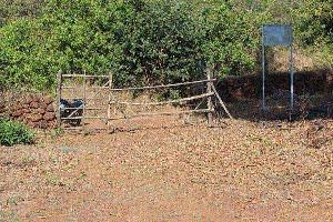 Agricultural/Farm Land for Sale in Mangaon, Raigad